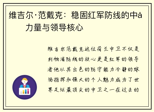 维吉尔·范戴克：稳固红军防线的中坚力量与领导核心